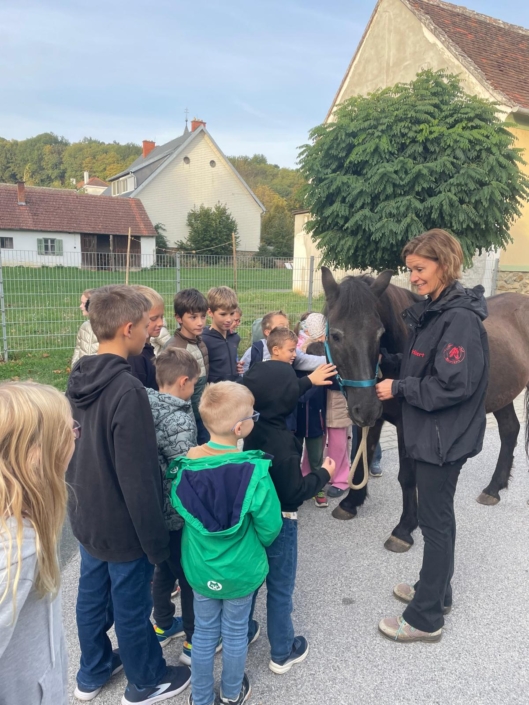 IMG-20261002-WA0004